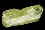 Bag Of Five Yellow Apatite Crystals ( - ) - Morocco #108370-1